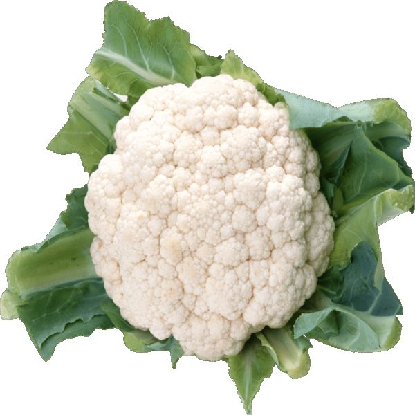 Cauliflower - फूलगोभी