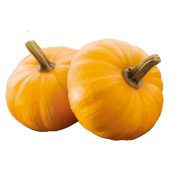 Pumpkin - कद्दू