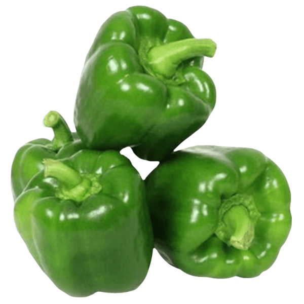 Capsicum Green - शिमला मिर्च हरा