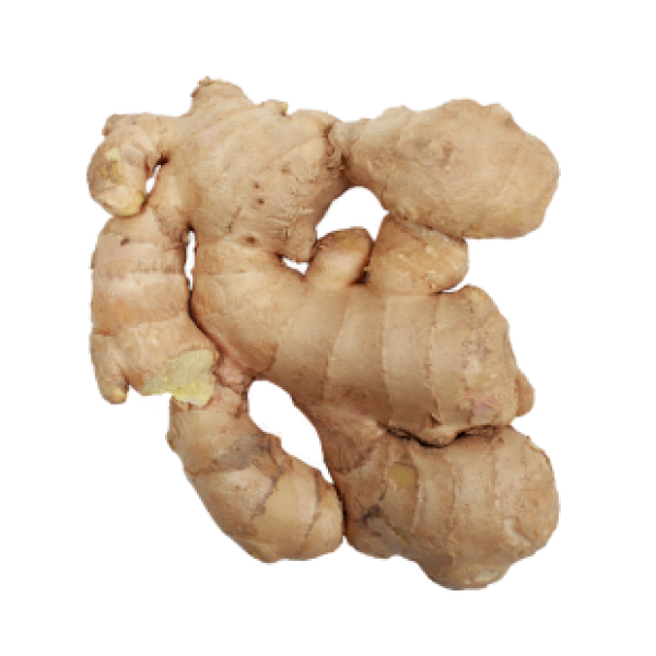 Ginger - अदरक