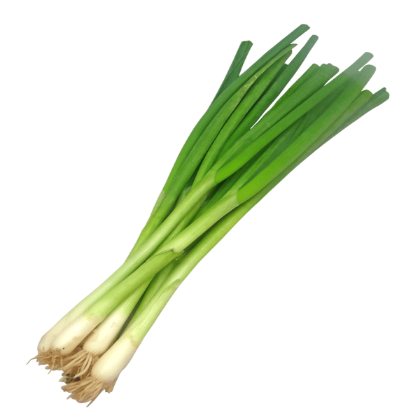 Onion Spring - प्याज हरा